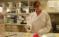 Tessa Lecuyer in white lab coat and gloves observes samples in lab