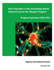 Cover: Program Evaluation 2003-2013 - Brain Disorders in the Developing World