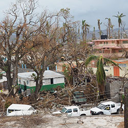 Coralie Giese, CDC, CC BY 2.0. Damaged trees and buildings in Haiti after Hurricane Matthew in 2016.