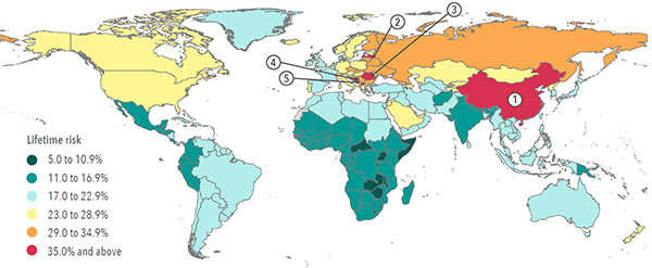 IHME Lifetime Stroke Risk World Map 