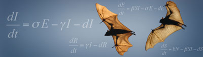 Two bats with wings spread soar, mathematical equations display in background