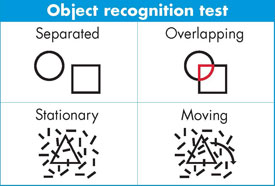 Chart showing object recognition tests, full description below
