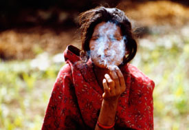 Woman smokes cigarette, smoke covers her face, field in background