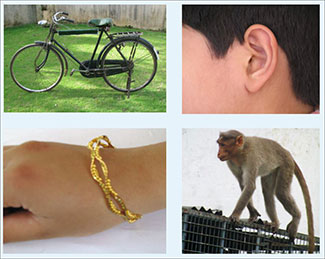 4 sample photos used in Verghese picture-based screening tool used in India, including a bike, ear, bracelet and monkey