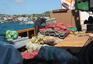 This photos shows a boat loaded with produce. A harbor town in in the background.