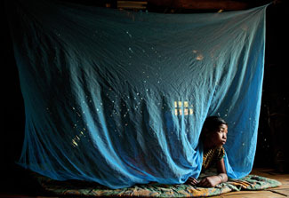 Girl in Bangladesh peeks head out from under a blue mosquito net hanging from the ceiling