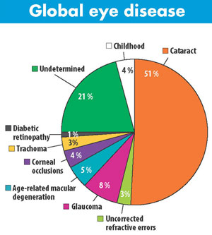 Pie Chart Global Eye Disease 