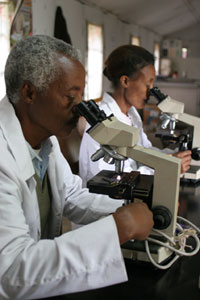 African researchers look into microscopes