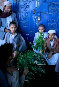 Three boys and two men sit and stand around a large pile of khat branches and leaves on the ground, large blue metal door behind