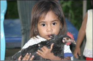 A little girl holding a chicken