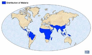 a round map of the world with distribution of malaria depicted by blue areas across the southern half of the world. Photo credit: CDC