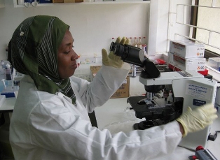 A Tanzanian researcher prepares to examine a slide under a microscope. Photo: Jenny Haliski