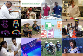 Collage of images from the top global health research news stories of 2015