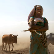 This photo shows an Ethiopian woman standing among cattle who wander disoriented because they can't find water.