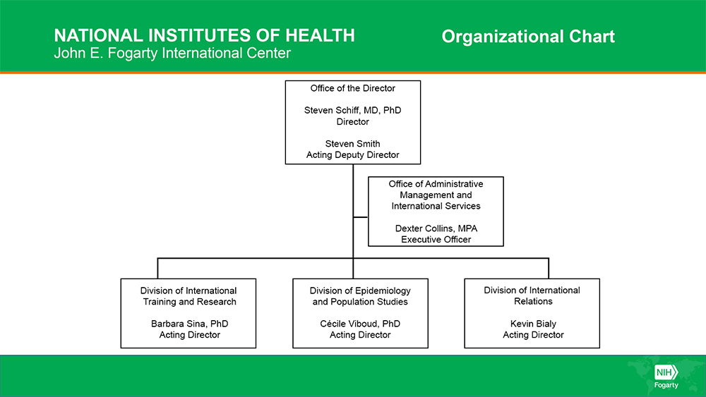 Graphic representing the organization of the Fogarty International Center (FIC) at the National Institutes of Health (NIH). See content following this graphic for a full description.