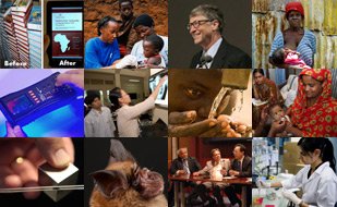Collage of images from the top global health research news stories of 2013